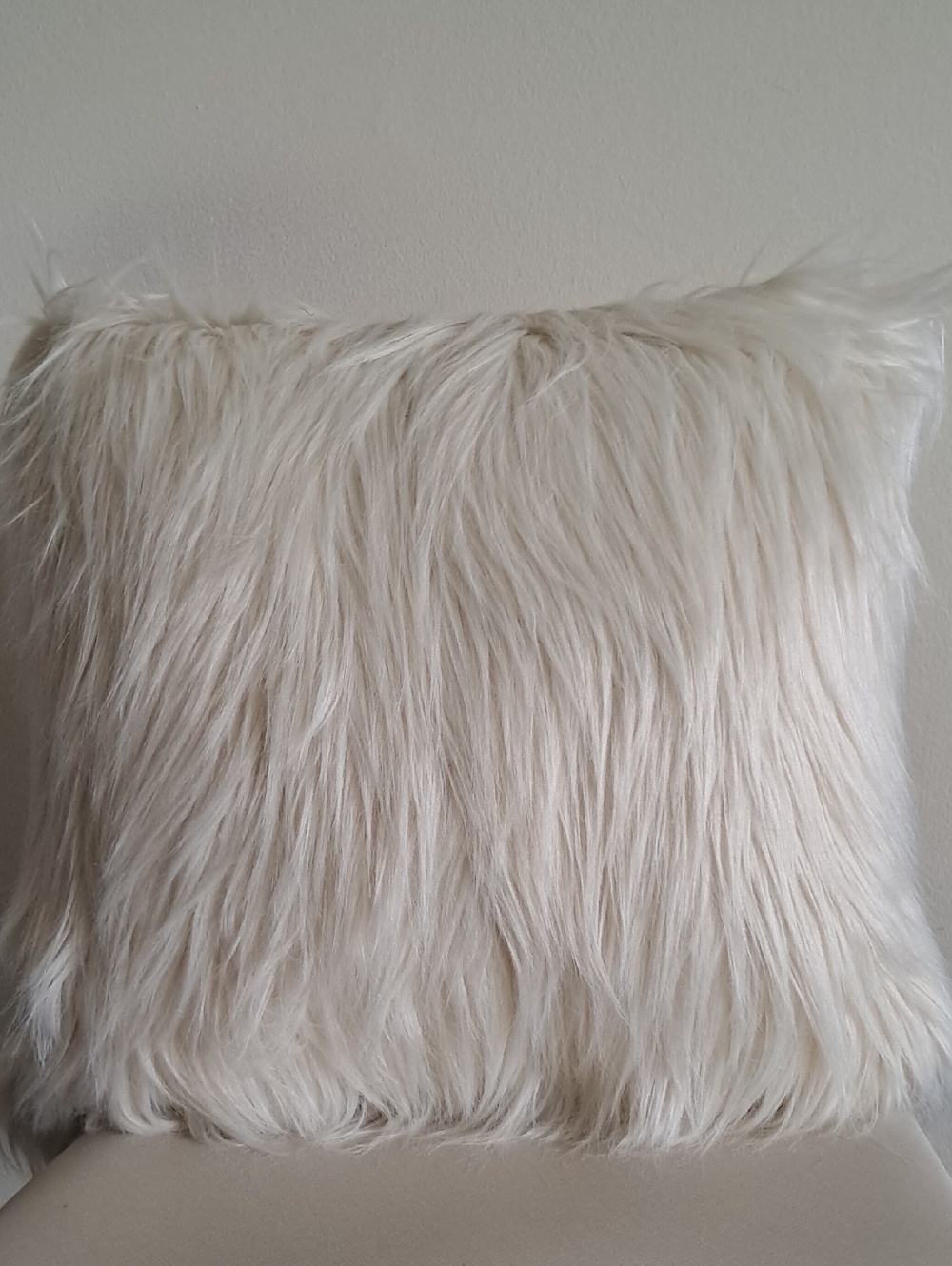 Faux Fur Accent Pillow - Cream